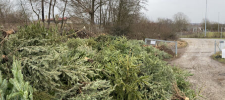 Christbaumsammliung CVJM 2026