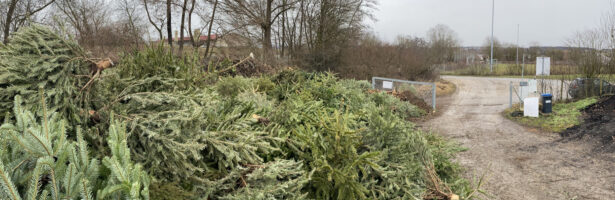 Christbaumsammlung in Unterensingen am 10. Januar