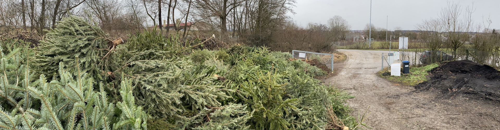 Christbaumsammlung in Unterensingen am 10. Januar